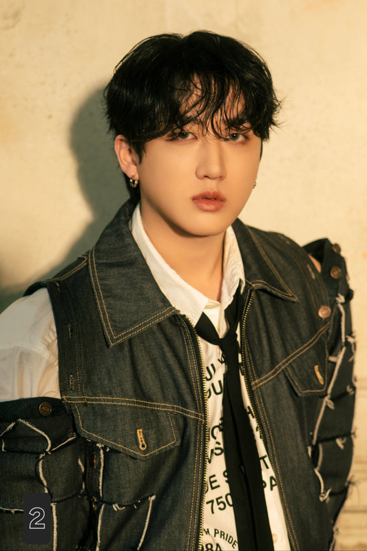 Changbin 🐷🐇 cadre photo album HOLLOW