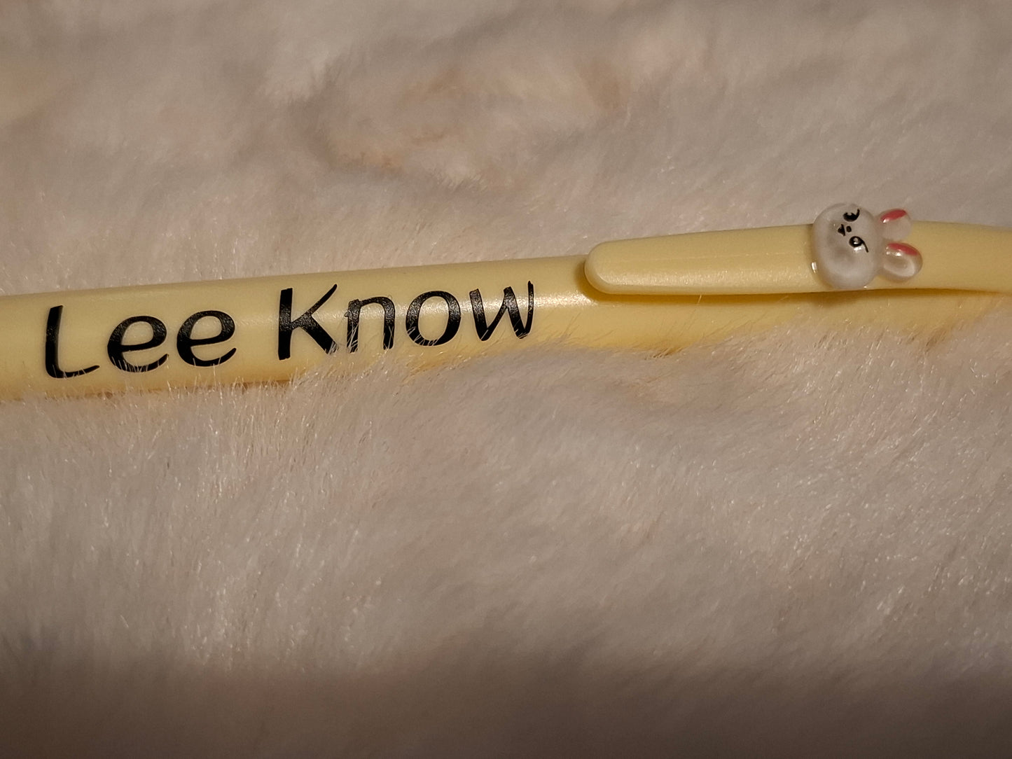 Bic SKZOO x Stray Kids