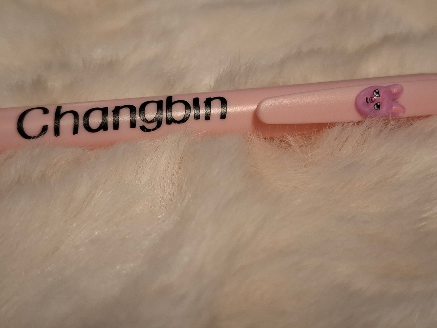 Bic SKZOO x Stray Kids