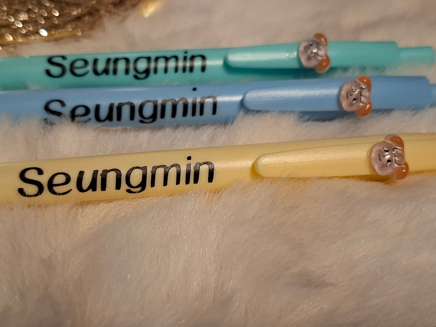 Bic SKZOO x Stray Kids