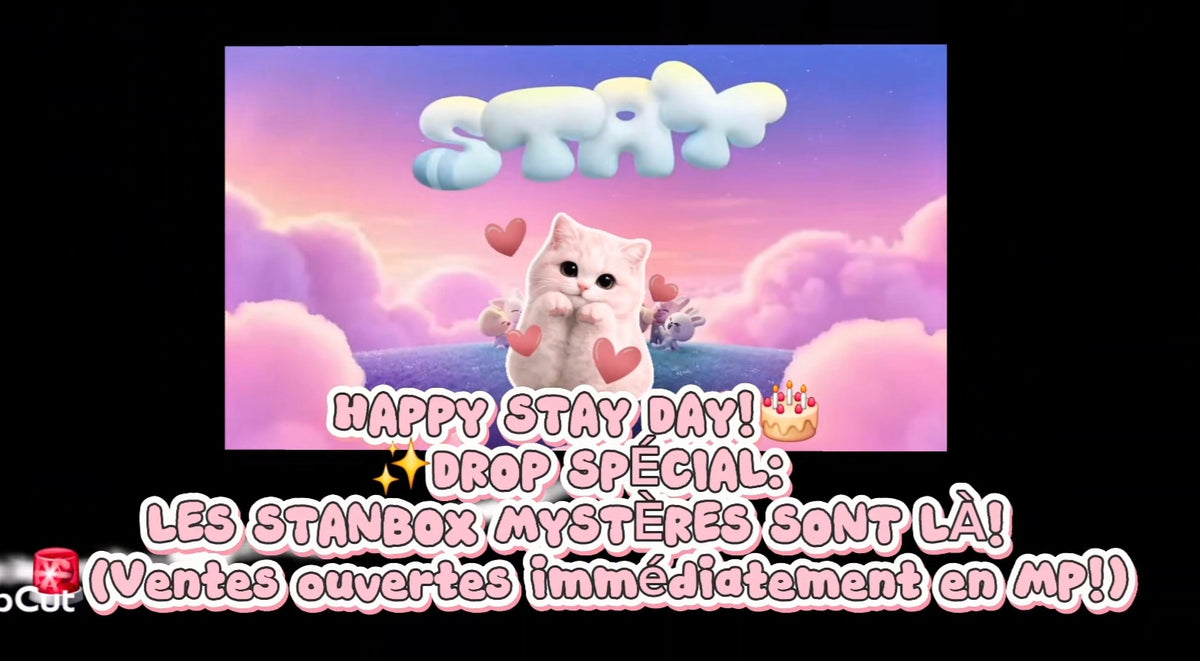STAY BOX